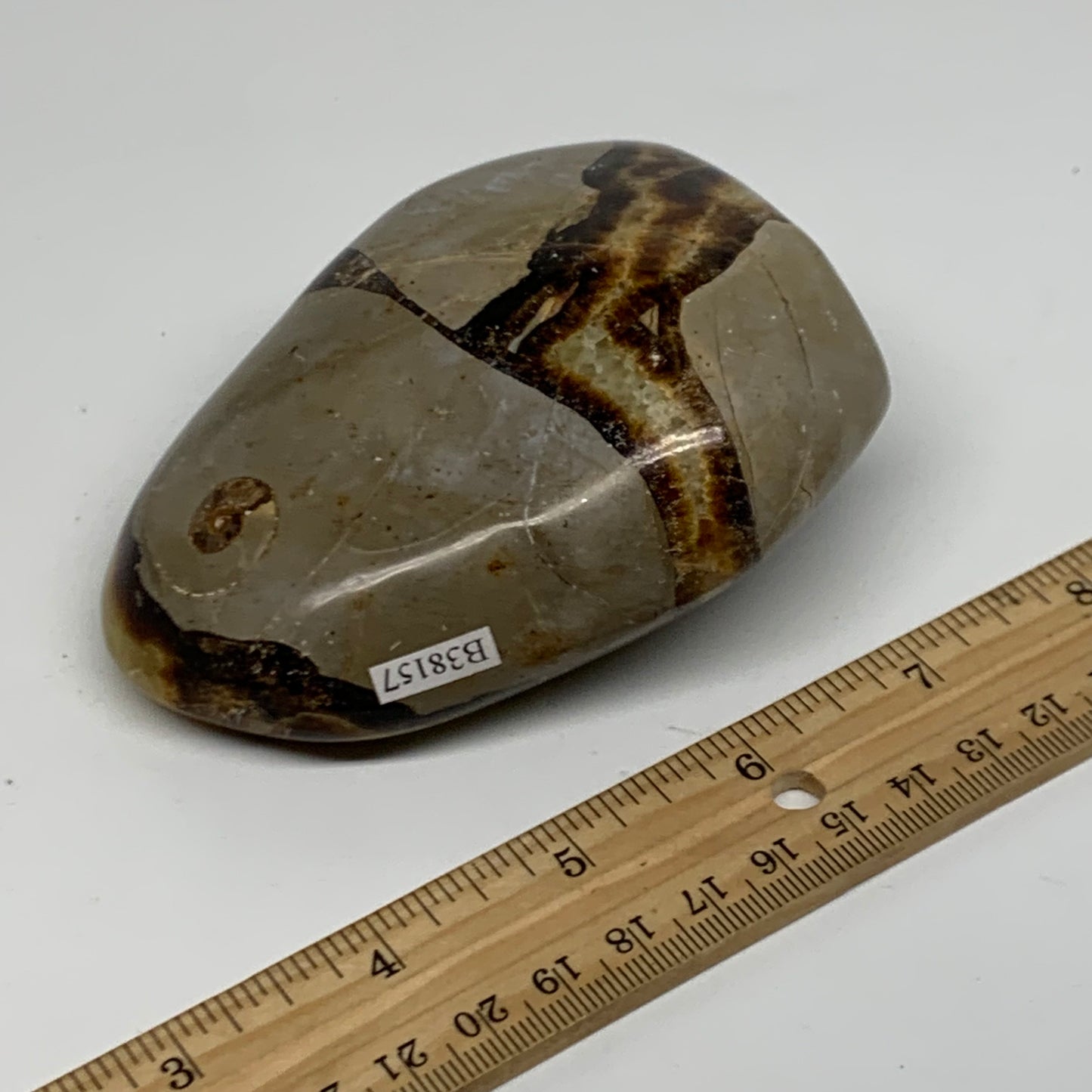 0.95 lbs, 3.9"x3"x1.7", Septarian Nodules Freeform Polished Crystal, B38157