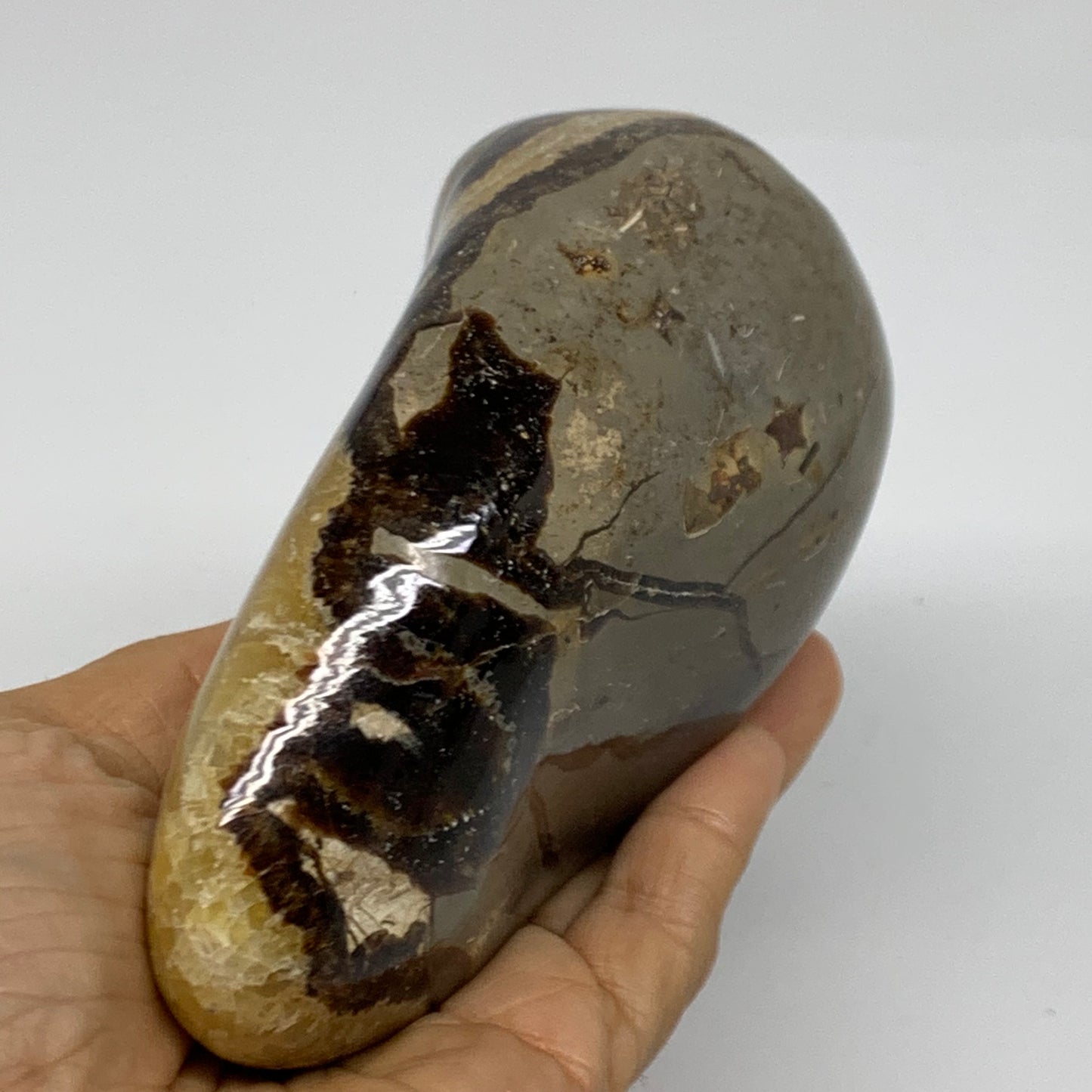 1.12 lbs, 4.2"x2.8"x2", Septarian Nodules Freeform Polished Crystal, B37392