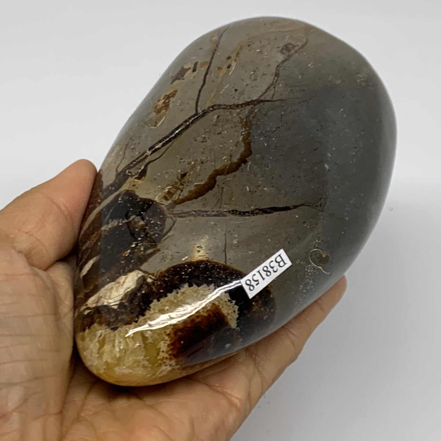 1.12 lbs, 4.2"x2.8"x2", Septarian Nodules Freeform Polished Crystal, B37392