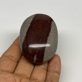 96.8g, 2.4"x1.7"x1", Narmada Shiva Lingam Palm-Stone Polished, B29374