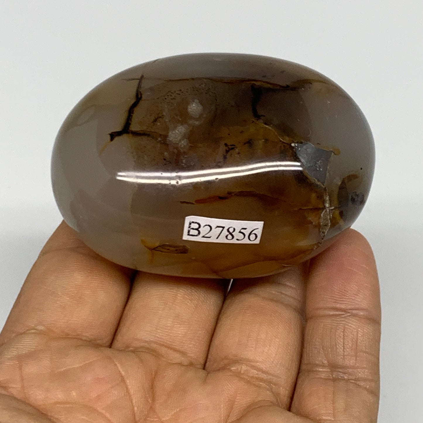 149.5g, 2.5"x1.7"x1.4" Orca Agate Palm-Stone Reiki Energy Crystal Reiki, B27856