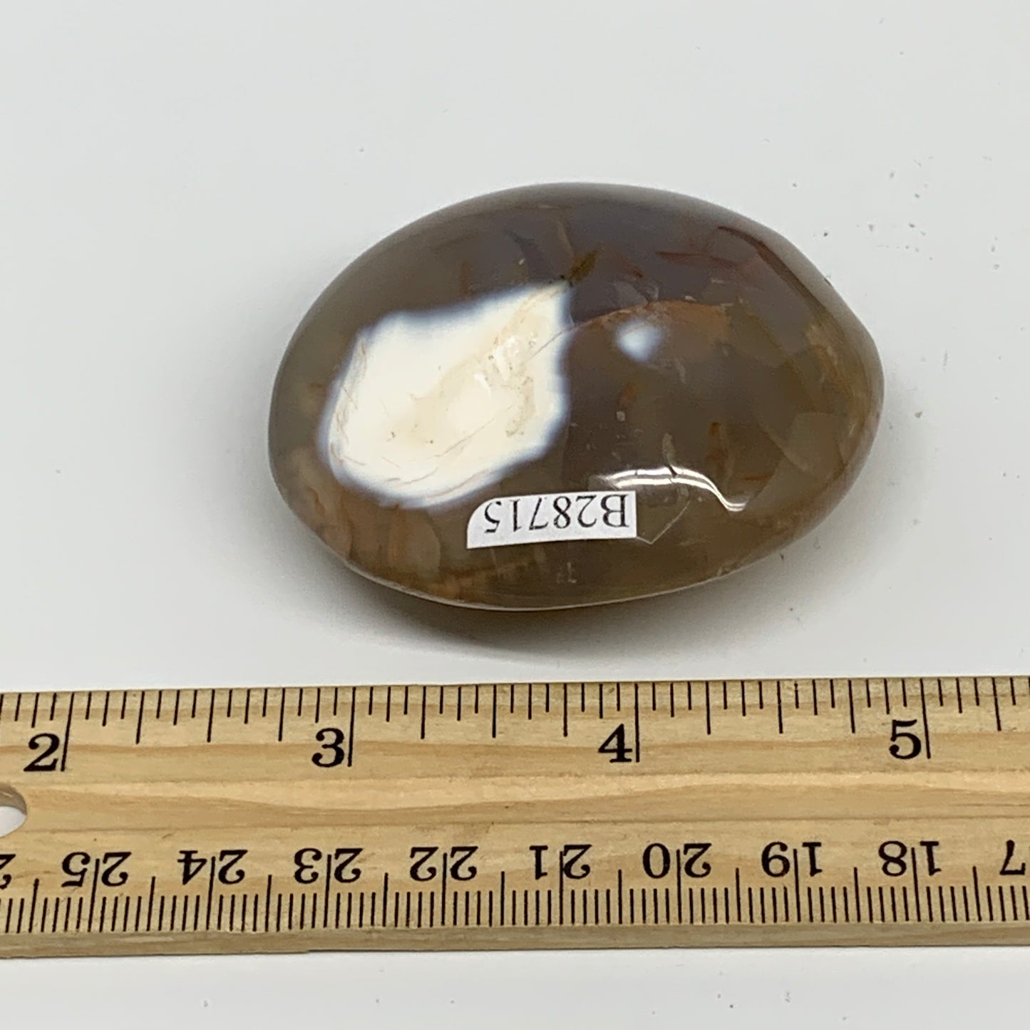 91.2g, 2.3"x2.1""x1" Orca Agate Palm-Stone Reiki Energy Crystal Reiki, B28715