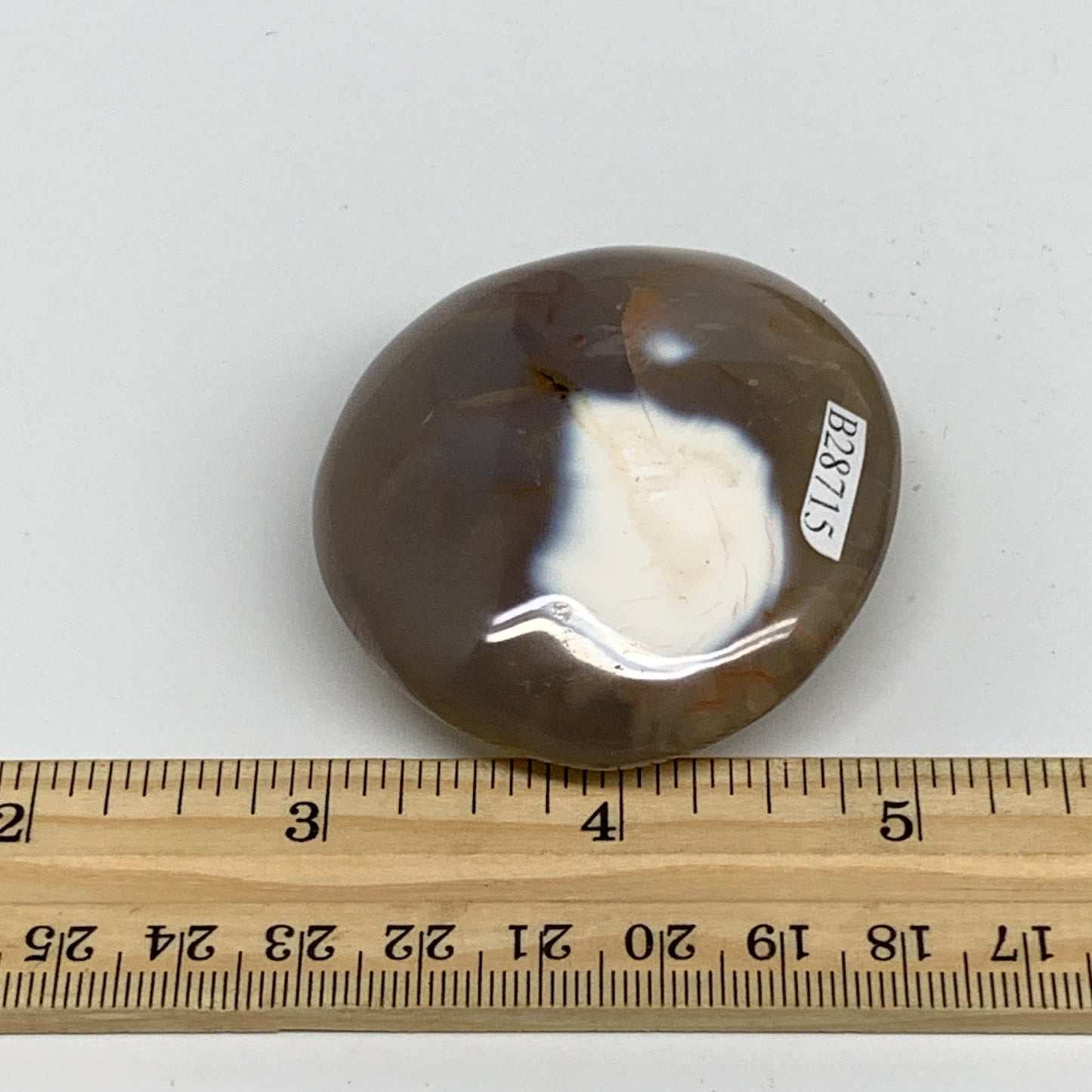 91.2g, 2.3"x2.1""x1" Orca Agate Palm-Stone Reiki Energy Crystal Reiki, B28715