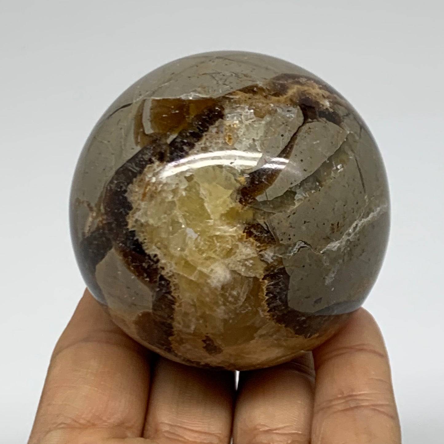 0.73 lbs, 2.5" (62mm), Natural Septarian Sphere Crystal Gemstone Ball, B38160