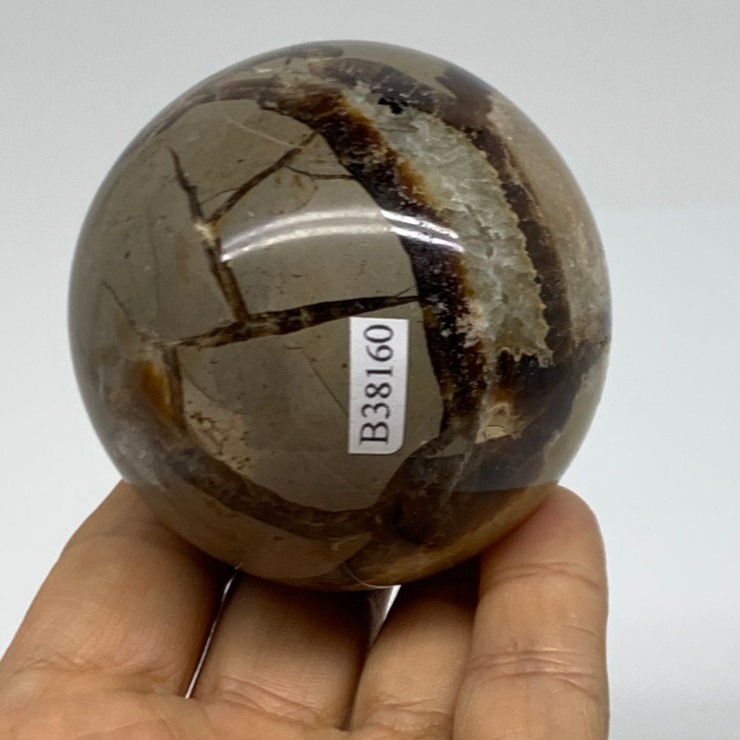 0.73 lbs, 2.5" (62mm), Natural Septarian Sphere Crystal Gemstone Ball, B38160