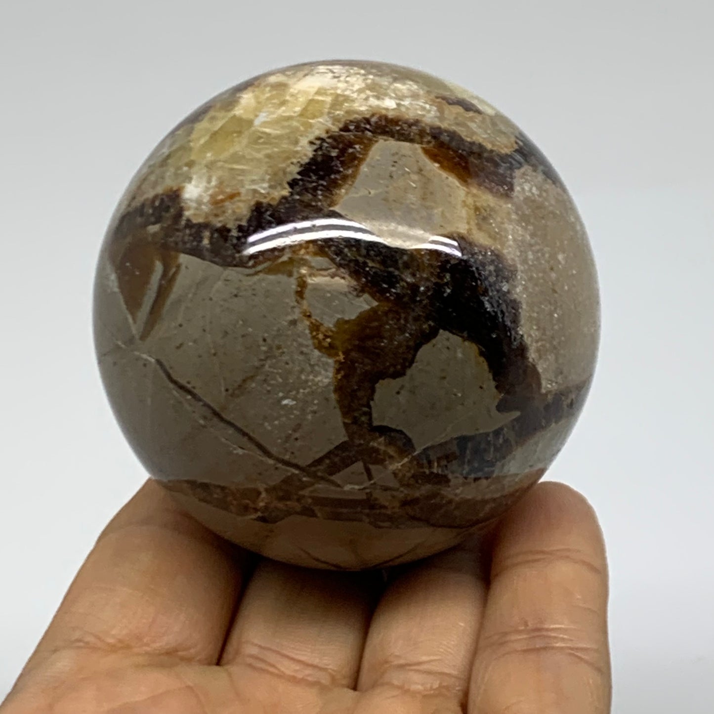 0.73 lbs, 2.5" (62mm), Natural Septarian Sphere Crystal Gemstone Ball, B38160