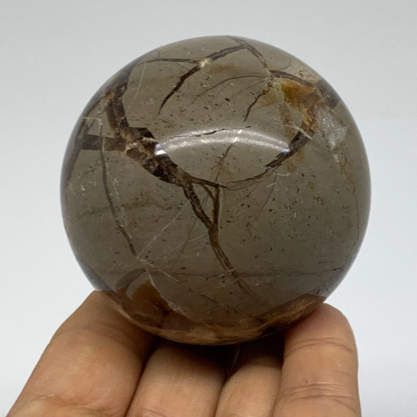 0.73 lbs, 2.5" (62mm), Natural Septarian Sphere Crystal Gemstone Ball, B38160