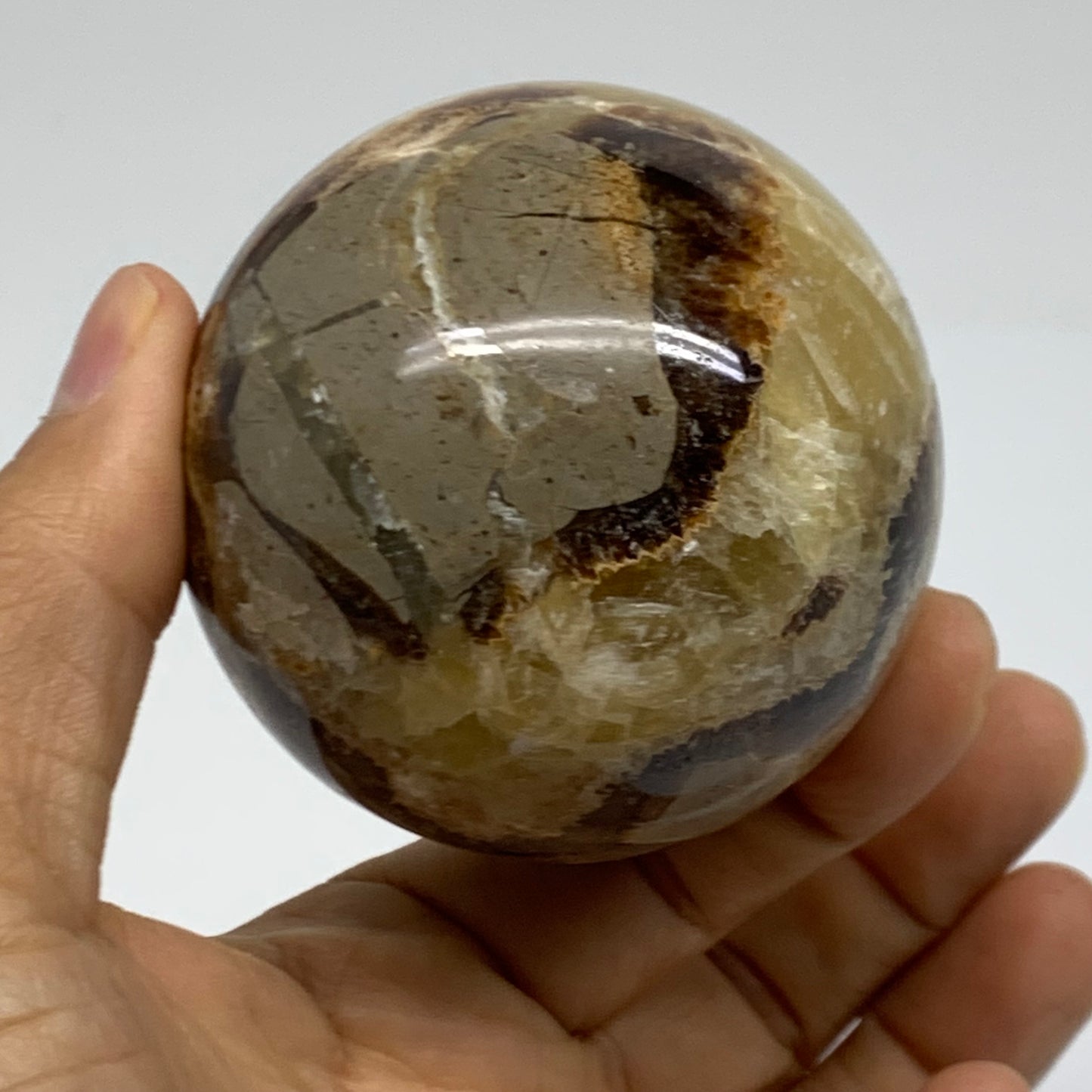 0.73 lbs, 2.5" (62mm), Natural Septarian Sphere Crystal Gemstone Ball, B38160
