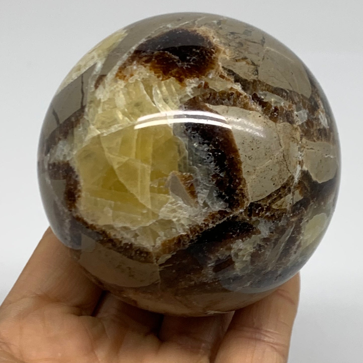 1.14 lbs, 2.8" (71mm), Natural Septarian Sphere Crystal Gemstone Ball, B38161