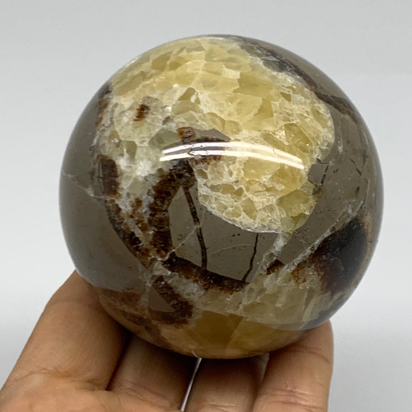 1.14 lbs, 2.8" (71mm), Natural Septarian Sphere Crystal Gemstone Ball, B38161