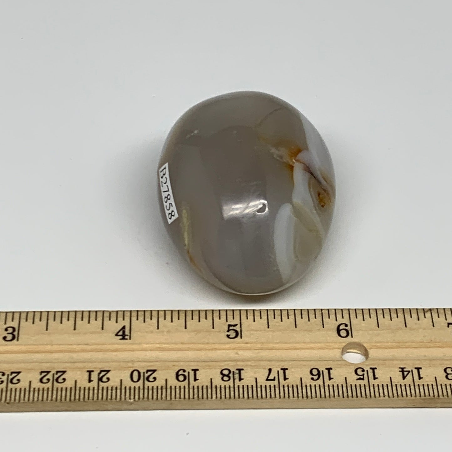 107.7g, 2.2"x1.7"x1.3" Orca Agate Palm-Stone Reiki Energy Crystal Reiki, B27858