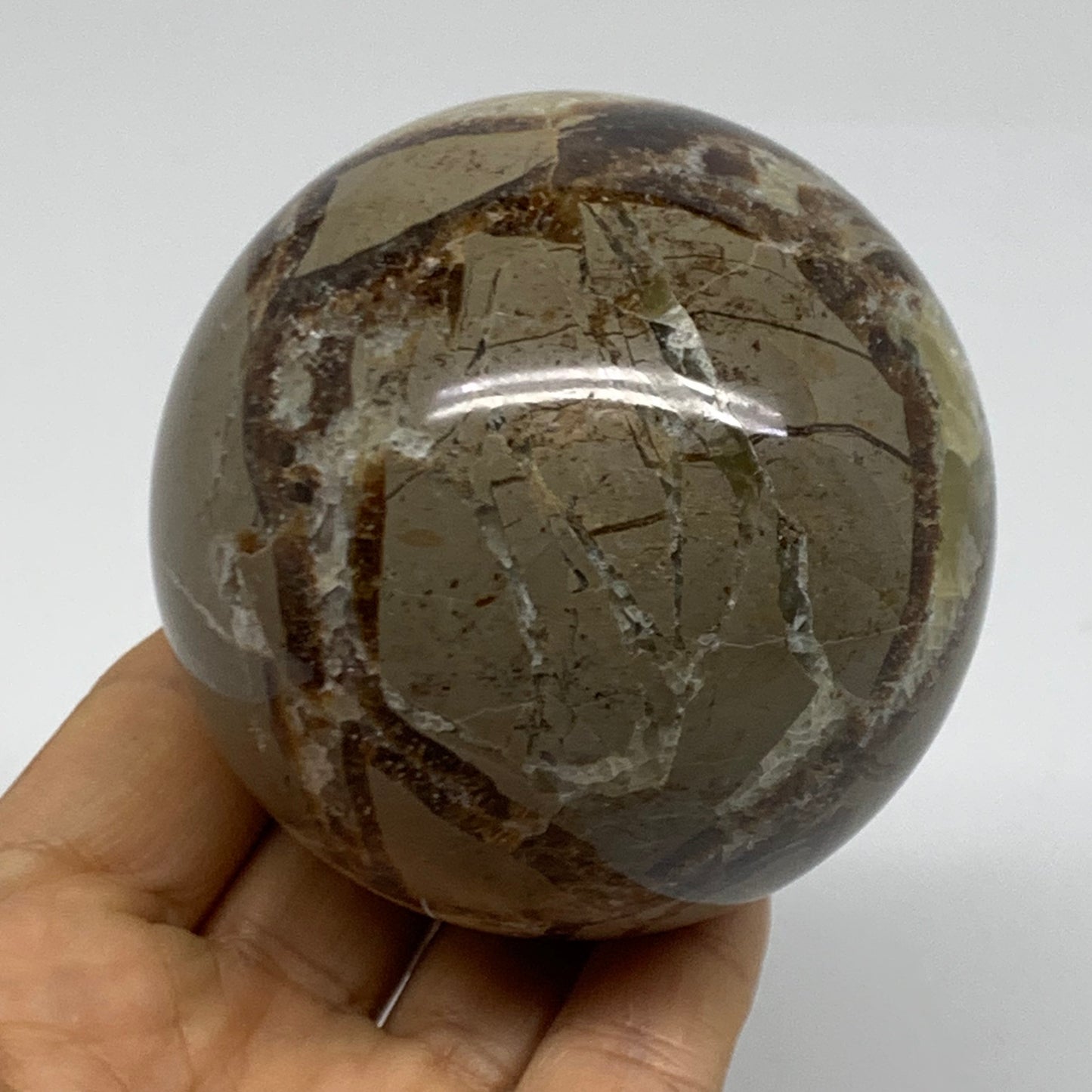 1.14 lbs, 2.8" (71mm), Natural Septarian Sphere Crystal Gemstone Ball, B38161
