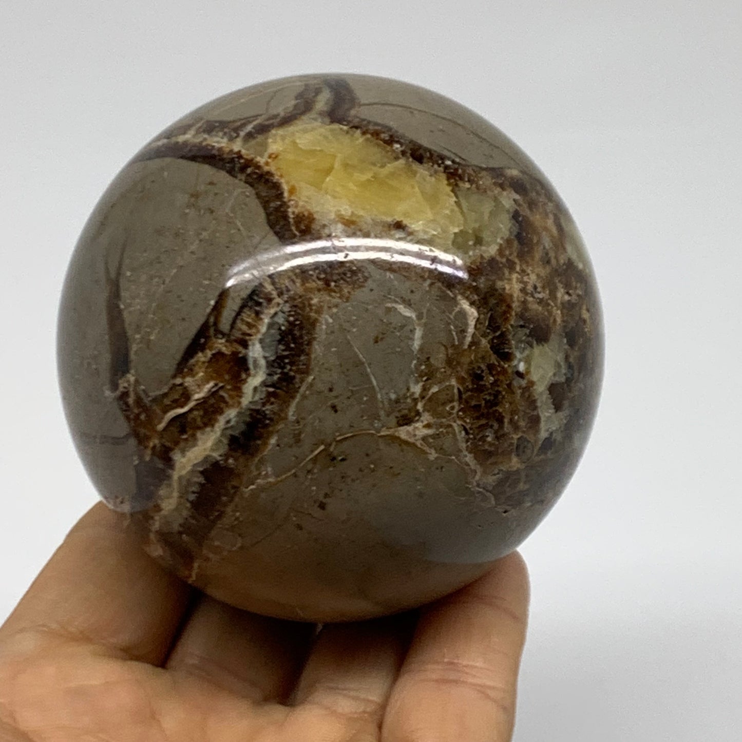 1.15 lbs, 2.8" (72mm), Natural Septarian Sphere Crystal Gemstone Ball, B38162