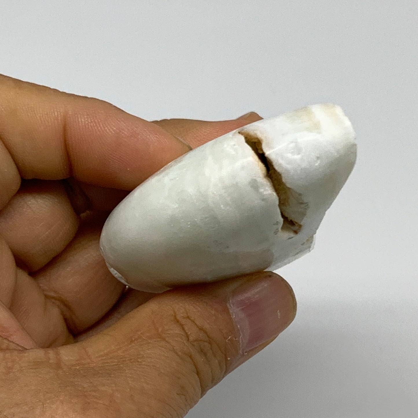 107.5g, 2.8"x1.5"x0.9", Caribbean Calcite Moon Crescent Gemstone, B33676