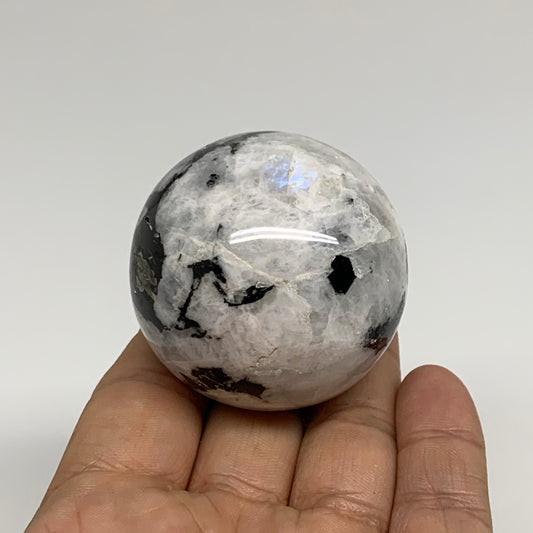 157.6g, 1.9"(48mm), Natural Rainbow Moonstone Sphere Ball Gemstone, B34316