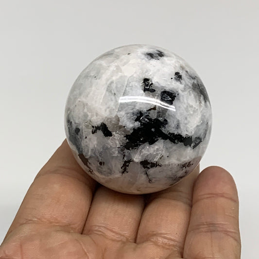 149.9g, 1.9"(48mm), Natural Rainbow Moonstone Sphere Ball Gemstone, B34319