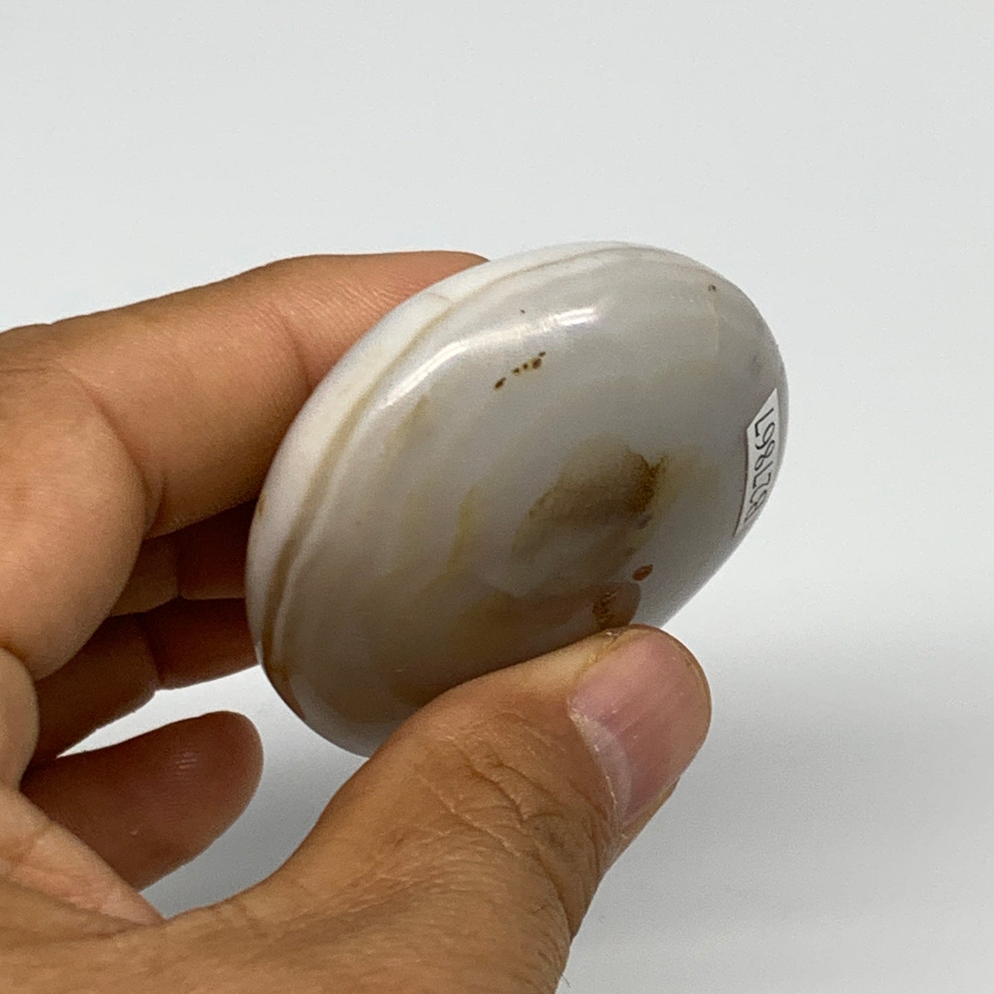 90.5g, 2.2"x1.8"x0.9" Orca Agate Palm-Stone Reiki Energy Crystal Reiki, B27867