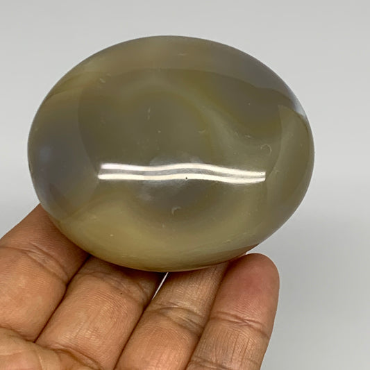 186.4g, 2.6"x2.3"x1.3" Orca Agate Palm-Stone Reiki Energy Crystal Reiki, B27868