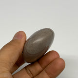 97.8g, 2.3"x1.7"x1", Narmada Shiva Lingam Palm-Stone Polished, B29376