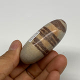 94.6g, 2.3"x1.7"x0.9", Narmada Shiva Lingam Palm-Stone Polished, B29382