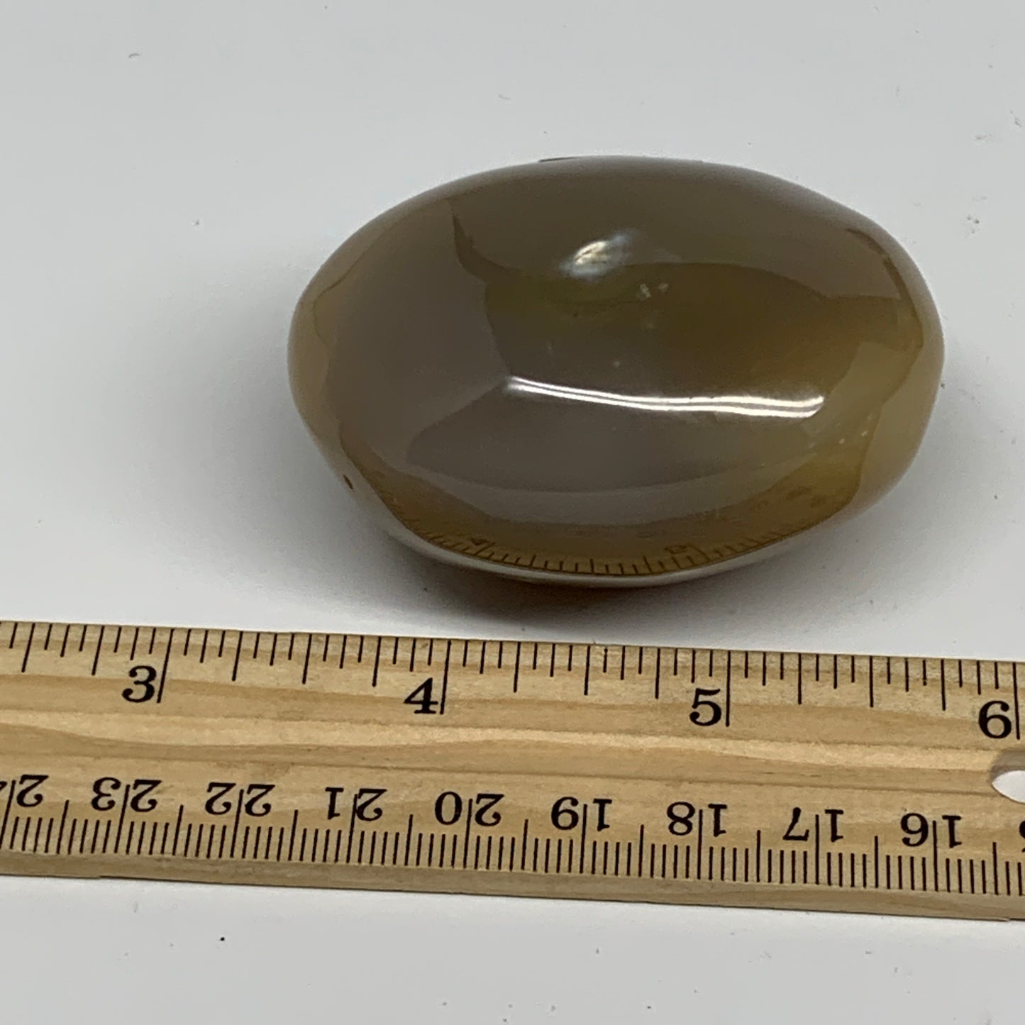 141.2g, 2.3"x1.9"x1.4" Orca Agate Palm-Stone Reiki Energy Crystal Reiki, B28698