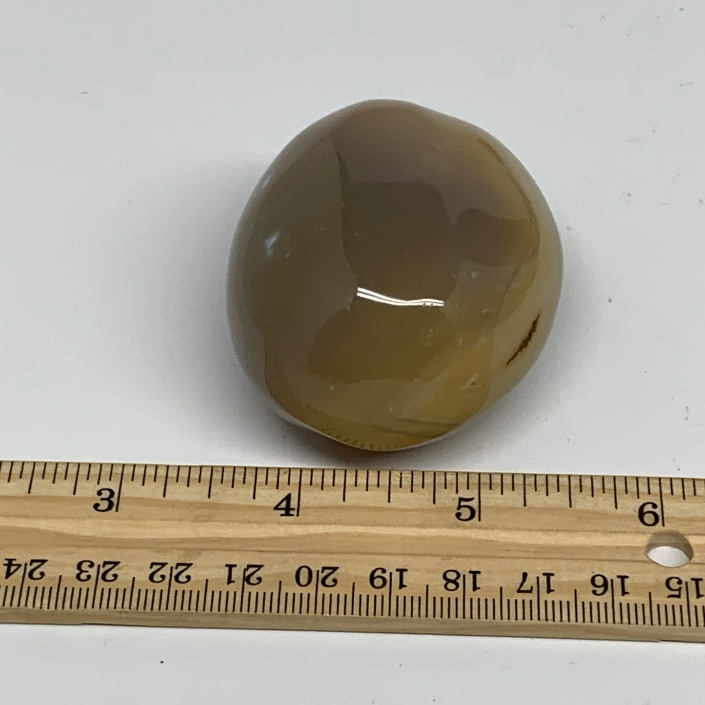 141.2g, 2.3"x1.9"x1.4" Orca Agate Palm-Stone Reiki Energy Crystal Reiki, B28698