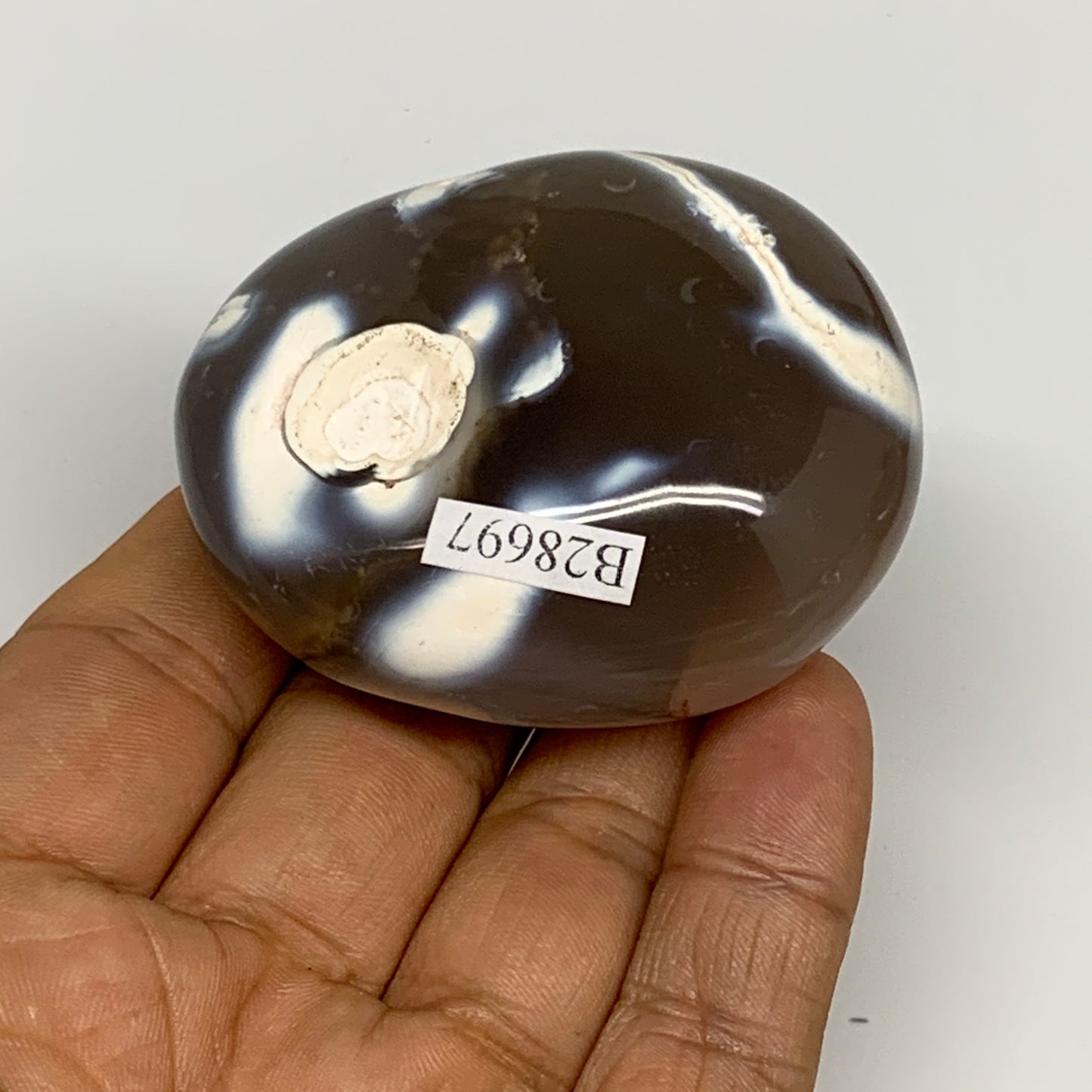 107.7g, 2.3"x1.8"x1.2" Orca Agate Palm-Stone Reiki Energy Crystal Reiki, B28697