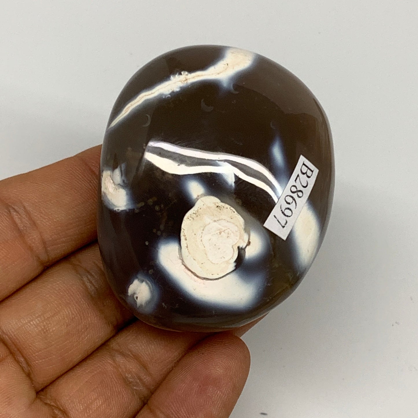 107.7g, 2.3"x1.8"x1.2" Orca Agate Palm-Stone Reiki Energy Crystal Reiki, B28697