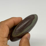 117.1g, 2.8"x2"x0.9", Narmada Shiva Lingam Palm-Stone Polished, B29385