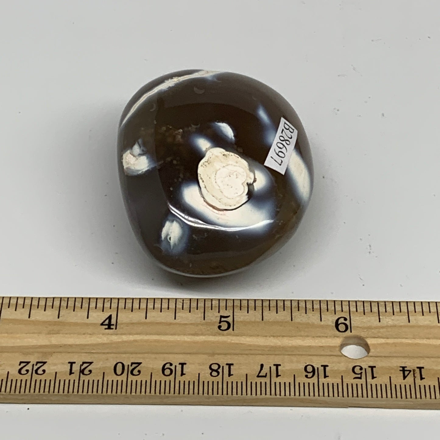 107.7g, 2.3"x1.8"x1.2" Orca Agate Palm-Stone Reiki Energy Crystal Reiki, B28697