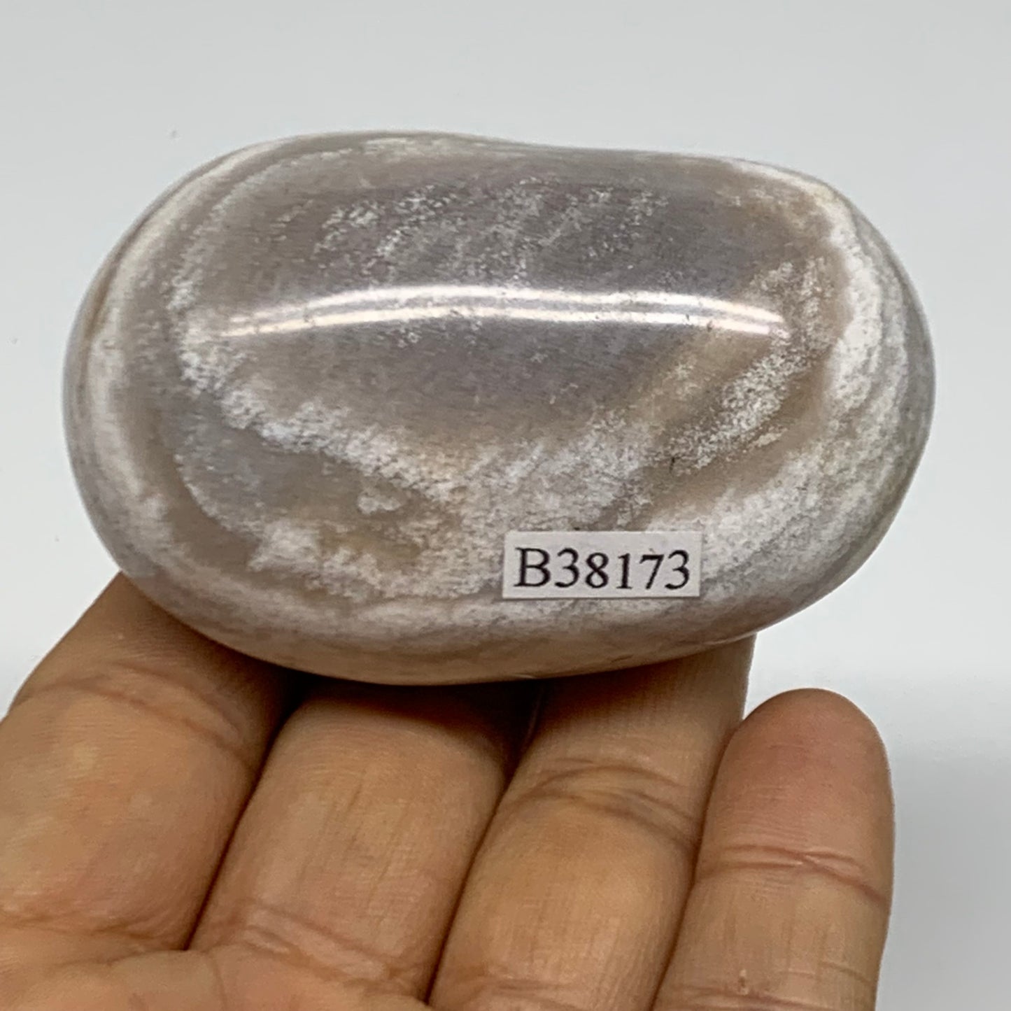 146g, 2.6"x1.7"x1.4" Natural Ocean Jasper Palm-Stone Orbicular Jasper, B38173