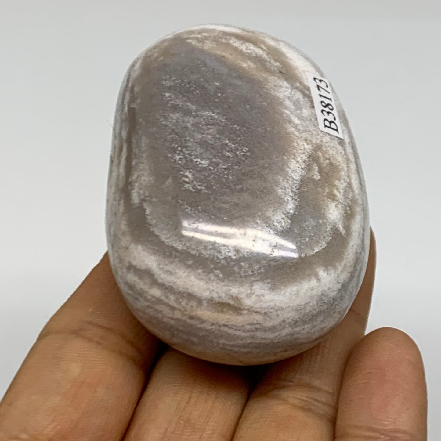 146g, 2.6"x1.7"x1.4" Natural Ocean Jasper Palm-Stone Orbicular Jasper, B38173