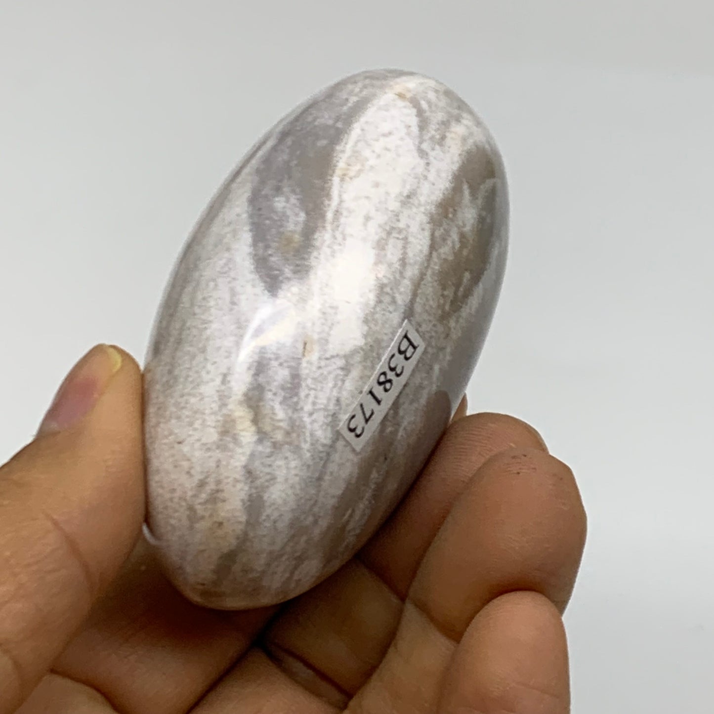 146g, 2.6"x1.7"x1.4" Natural Ocean Jasper Palm-Stone Orbicular Jasper, B38173