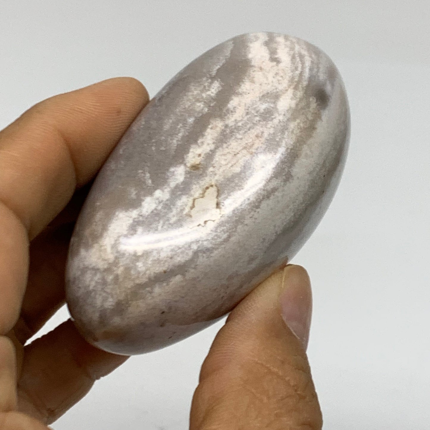 146g, 2.6"x1.7"x1.4" Natural Ocean Jasper Palm-Stone Orbicular Jasper, B38173