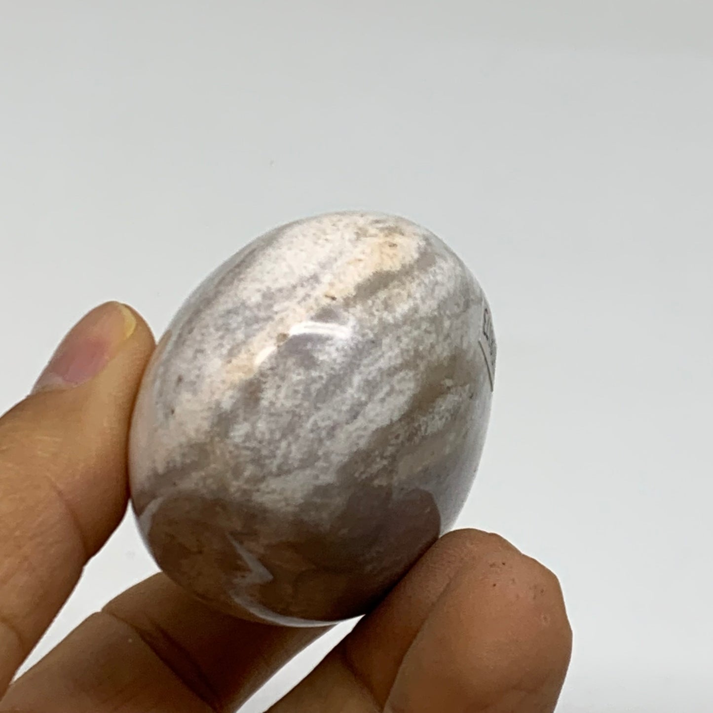 146g, 2.6"x1.7"x1.4" Natural Ocean Jasper Palm-Stone Orbicular Jasper, B38173