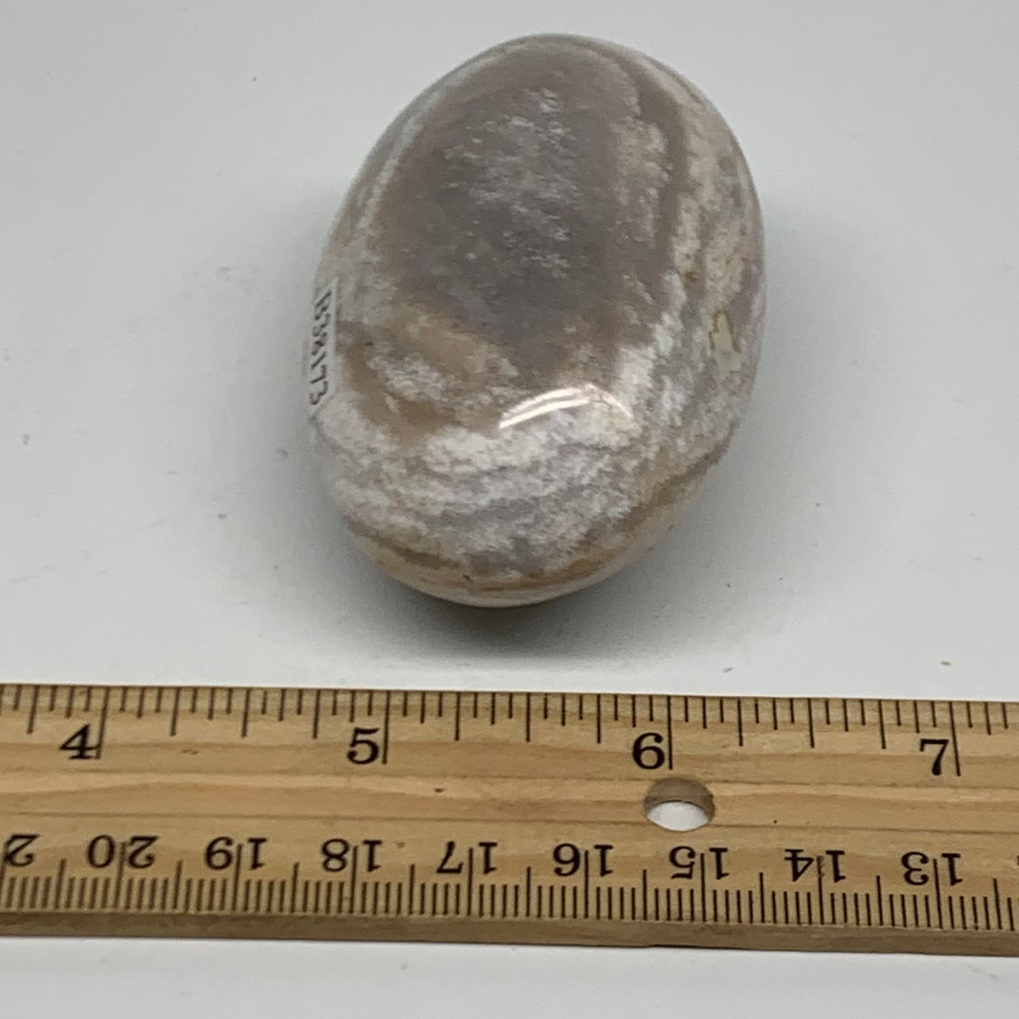 146g, 2.6"x1.7"x1.4" Natural Ocean Jasper Palm-Stone Orbicular Jasper, B38173