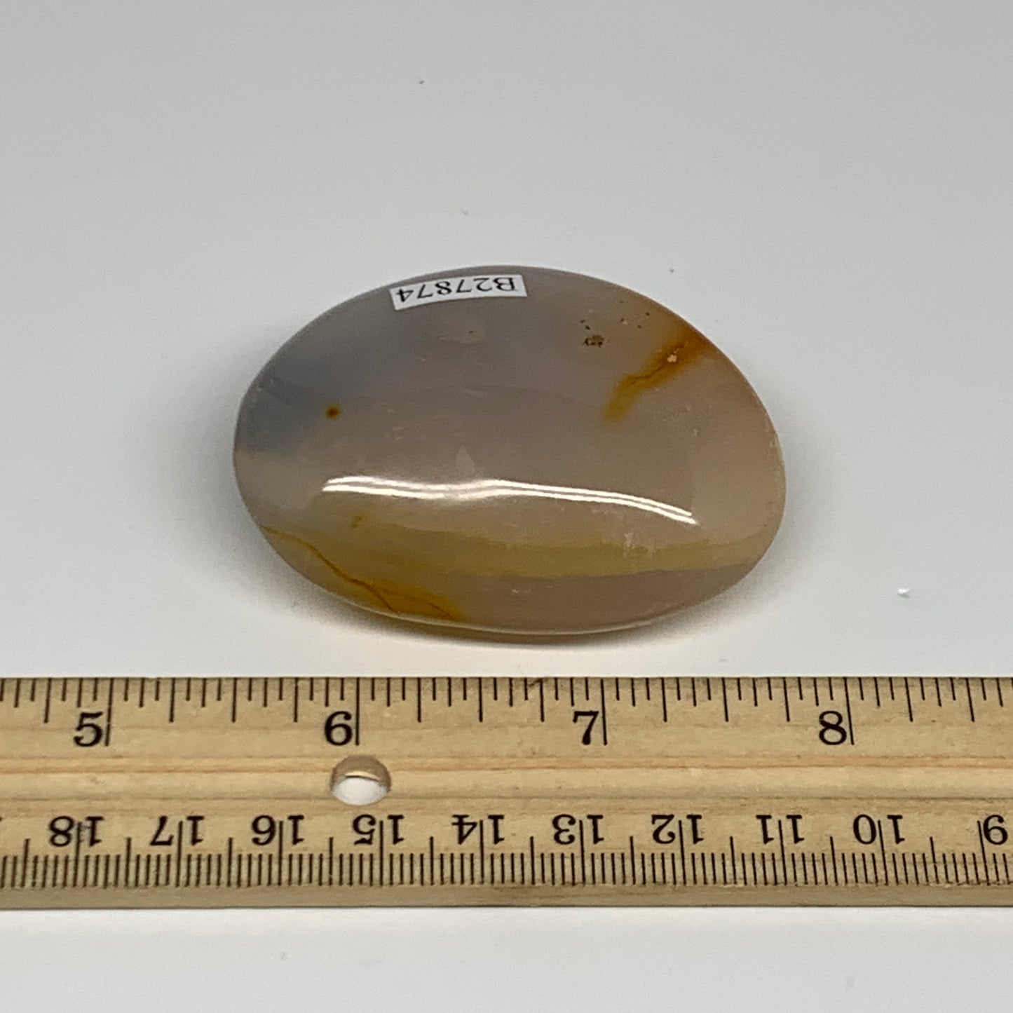 77g, 2.3"x1.7"x0.9" Orca Agate Palm-Stone Reiki Energy Crystal Reiki, B27874