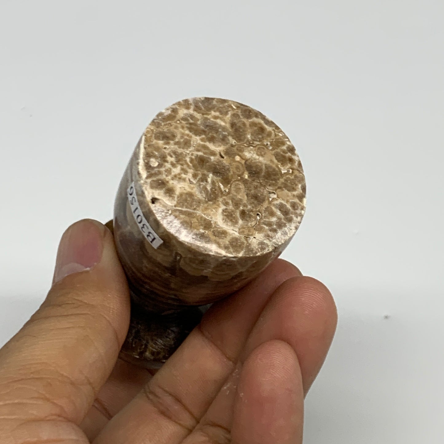 152.9g, 2.9"x1.4" Natural Chocolate Calcite Mushroom Gemstone @Pakistan, B30156