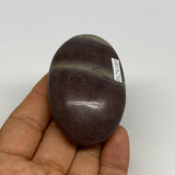 81.3g, 2.5"x1.6"x0.9", Narmada Shiva Lingam Palm-Stone Polished, B29389