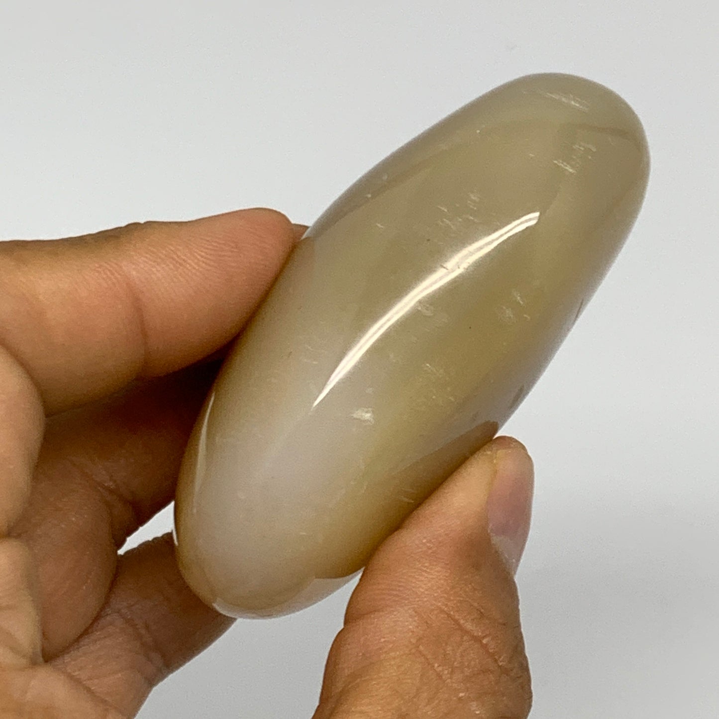 134.2g, 2.7"x1.9"x1.1" Orca Agate Palm-Stone Reiki Energy Crystal Reiki, B27876