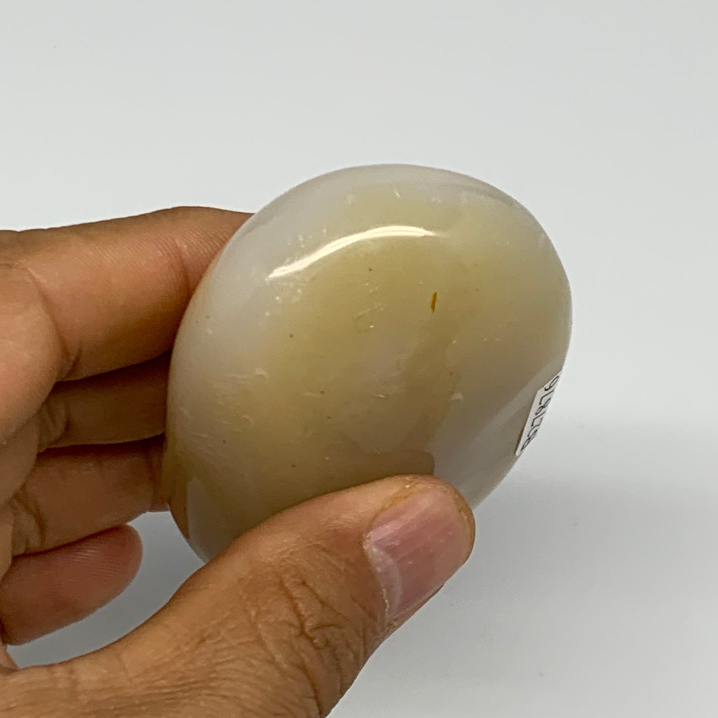 134.2g, 2.7"x1.9"x1.1" Orca Agate Palm-Stone Reiki Energy Crystal Reiki, B27876