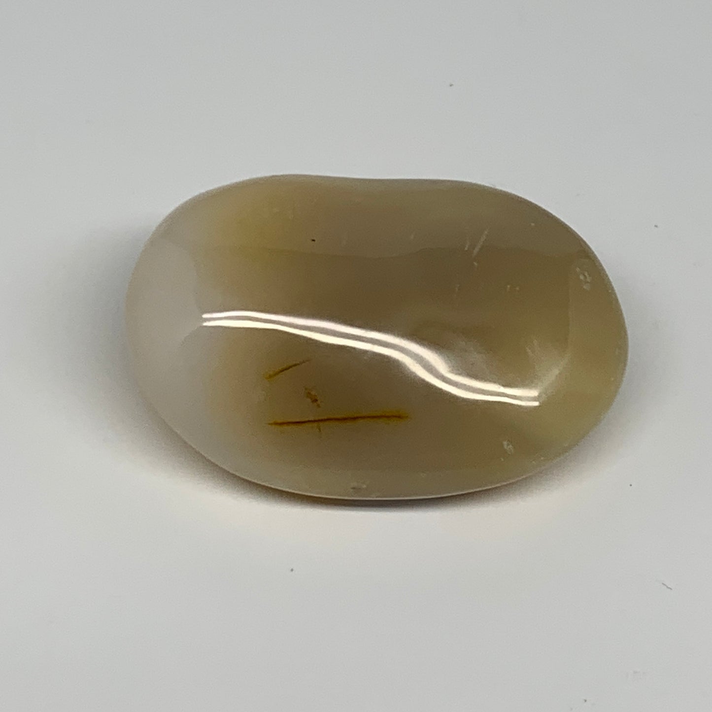 134.2g, 2.7"x1.9"x1.1" Orca Agate Palm-Stone Reiki Energy Crystal Reiki, B27876