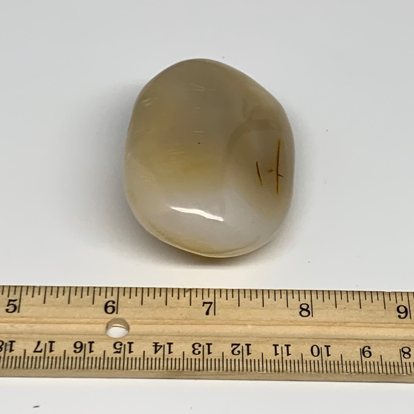 134.2g, 2.7"x1.9"x1.1" Orca Agate Palm-Stone Reiki Energy Crystal Reiki, B27876