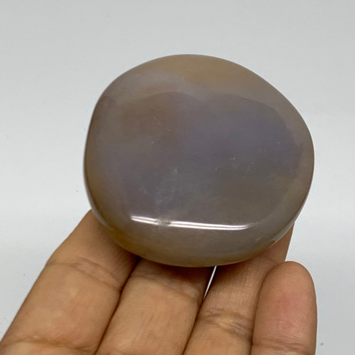 108g, 2.4"x2.2"x0.8" Natural Ocean Jasper Palm-Stone Orbicular Jasper, B38179