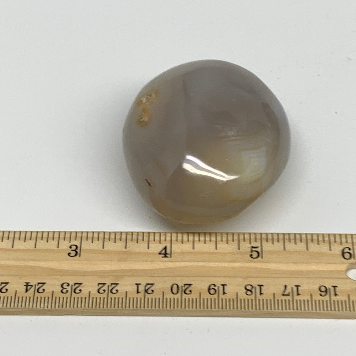 112.1g, 2.2"x1.9"x1.2" Orca Agate Palm-Stone Reiki Energy Crystal Reiki, B28702