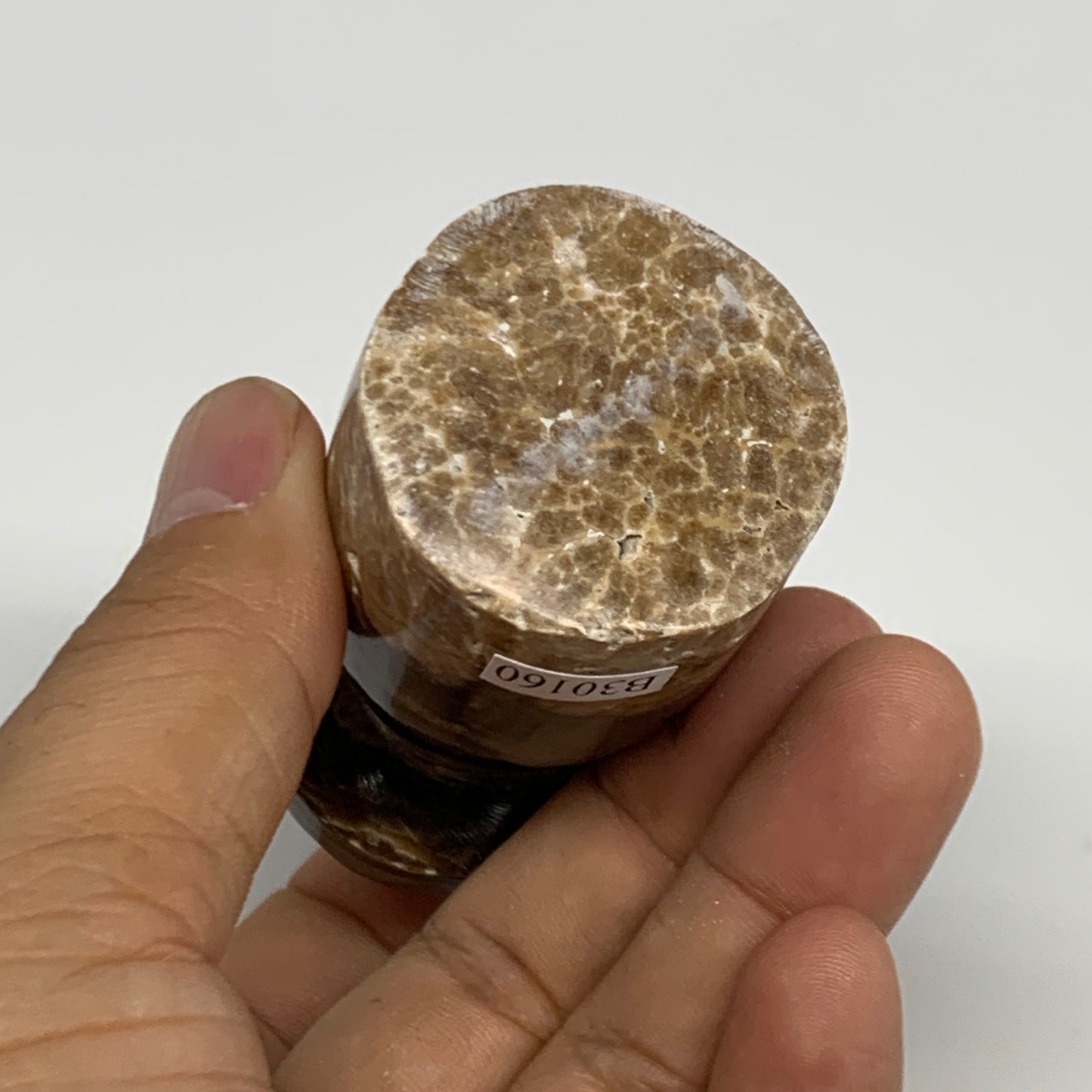 165.4g, 2.8"x1.4" Natural Chocolate Calcite Mushroom Gemstone @Pakistan, B30160