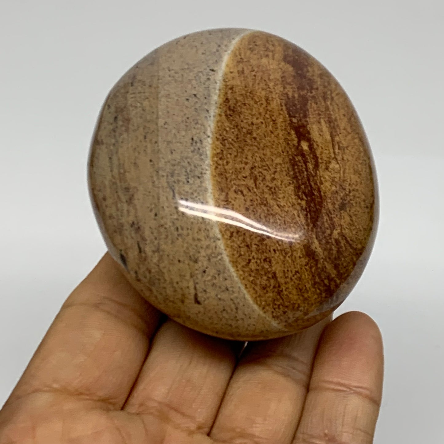 218g, 2.9"x2.3"x1.5" Natural Ocean Jasper Palm-Stone Orbicular Jasper, B38181