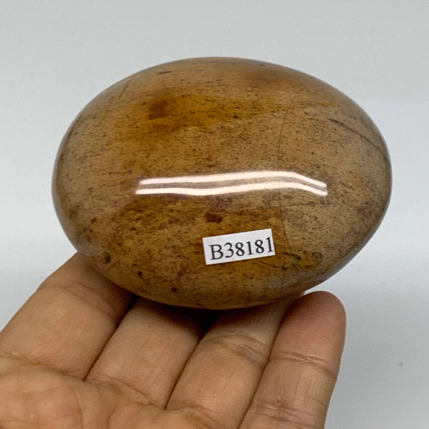 218g, 2.9"x2.3"x1.5" Natural Ocean Jasper Palm-Stone Orbicular Jasper, B38181