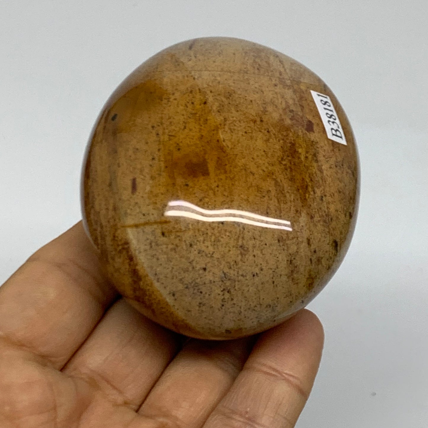 218g, 2.9"x2.3"x1.5" Natural Ocean Jasper Palm-Stone Orbicular Jasper, B38181