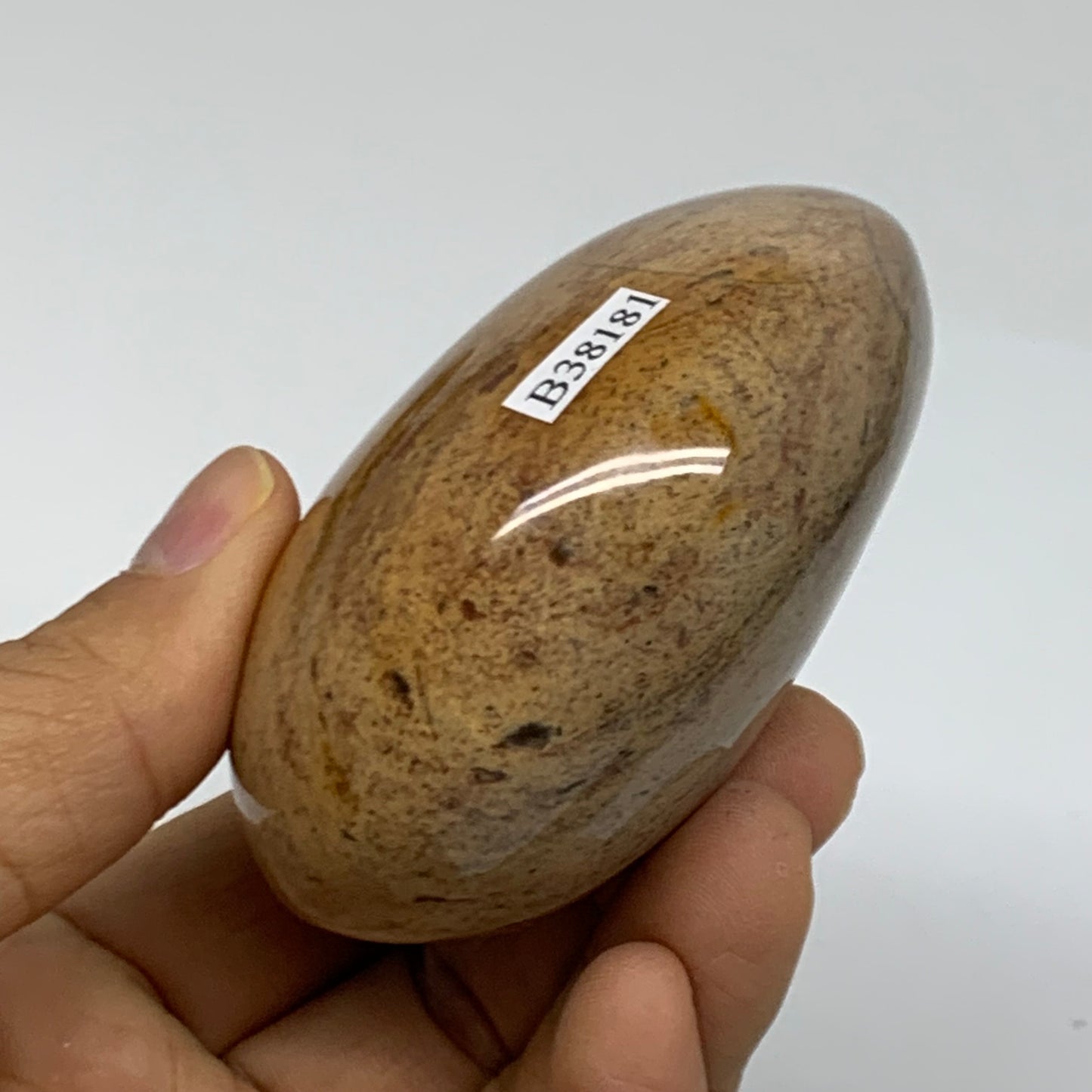 218g, 2.9"x2.3"x1.5" Natural Ocean Jasper Palm-Stone Orbicular Jasper, B38181